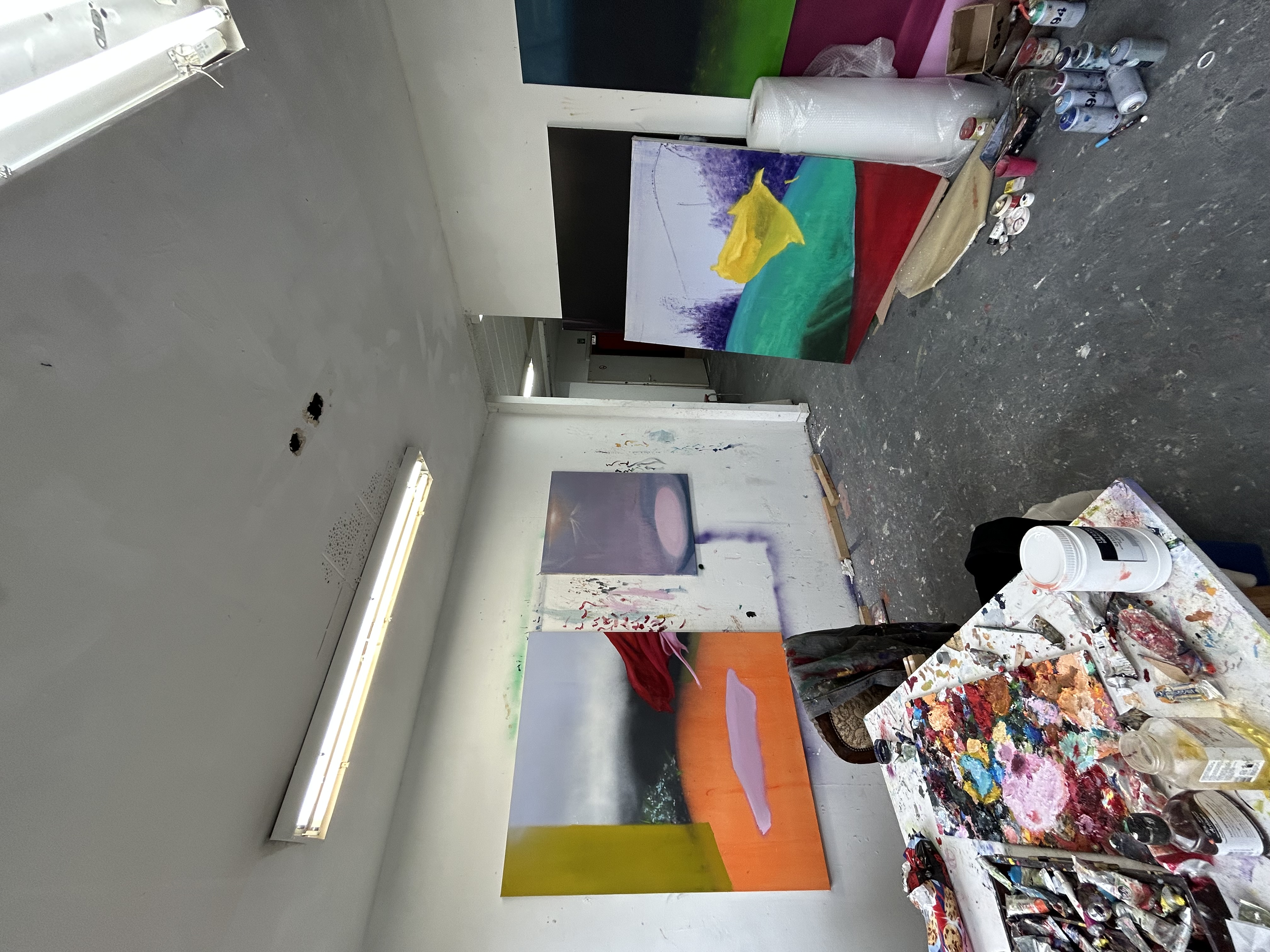 Peinture au 427 Avenue Louise